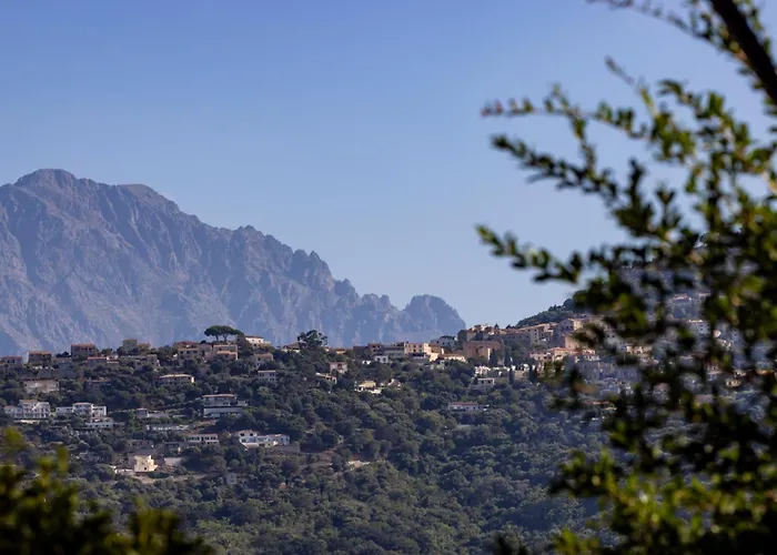 Restaurant Josephine 4* L'Ile-Rousse (Corsica)